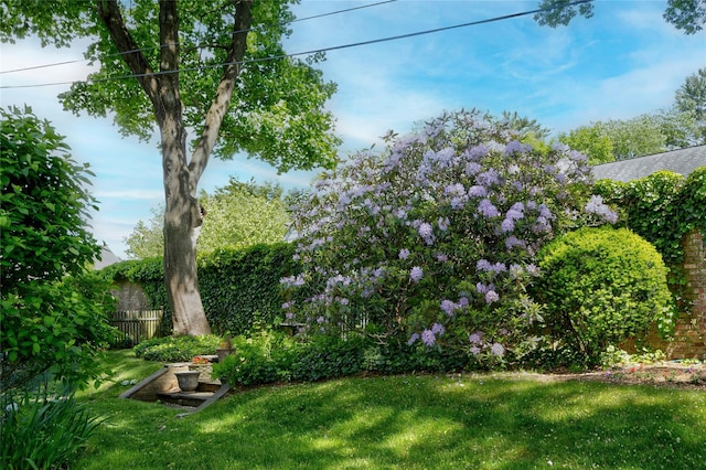 28 Valley Rd, Manhasset, NY 11030 - view of yard