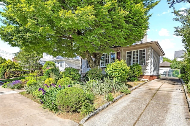 45-31 169th St, Flushing, NY 11358 - view of property hidden behind natural elements