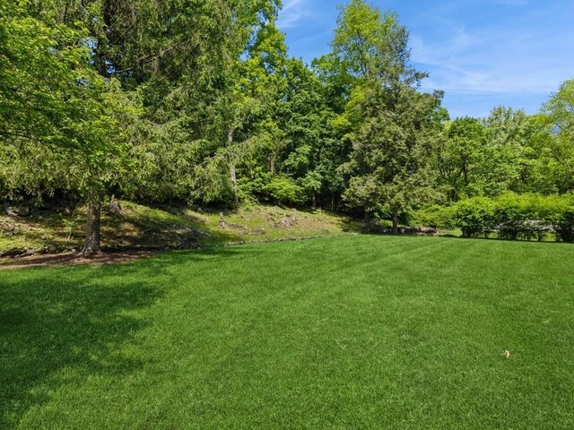 3 Brookland Farms Rd, Poughkeepsie, NY 12601 - view of green lawn