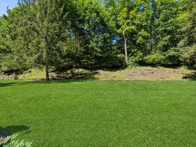 3 Brookland Farms Rd, Poughkeepsie, NY 12601 - view of green lawn