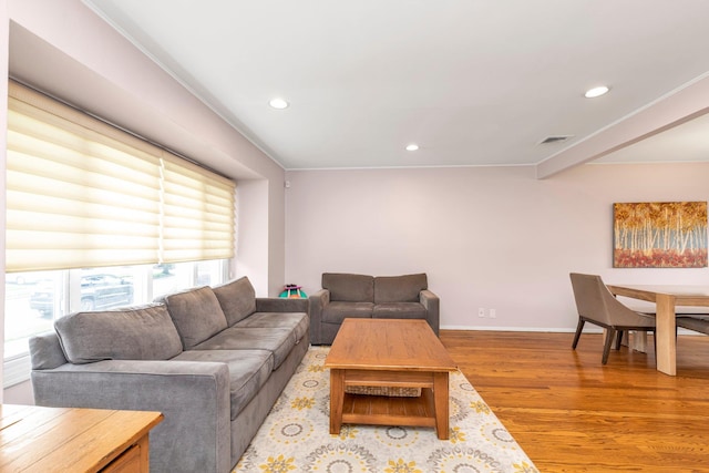 19 Alan Ct, Plainview, NY 11803 - living area featuring light wood-style flooring, recessed lighting, baseboards, and ornamental molding