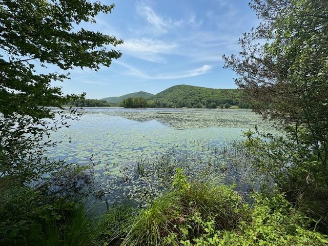 5-8 Lakeside Ln, Pine Plains, NY 12567