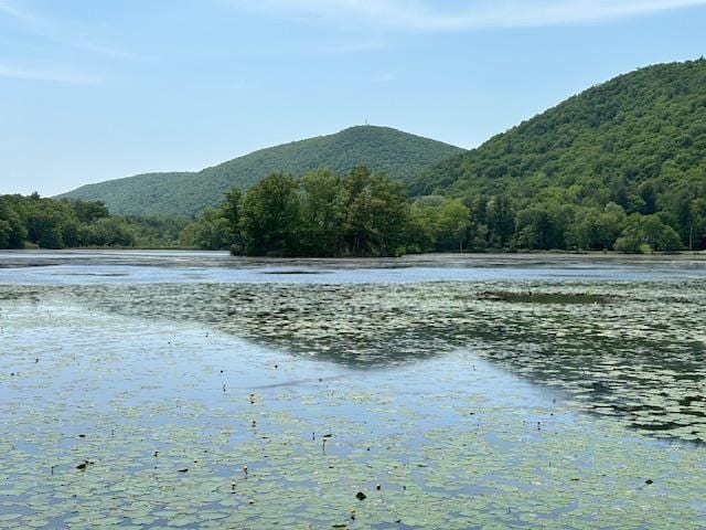 5-8 Lakeside Ln, Pine Plains, NY 12567