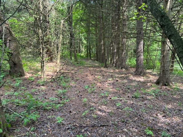 5-8 Lakeside Ln, Pine Plains, NY 12567
