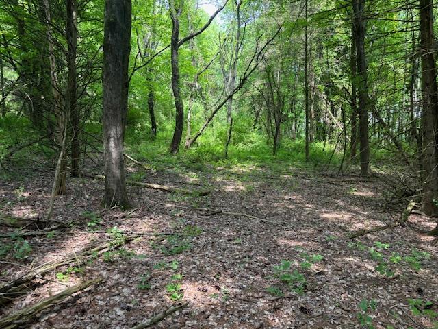 5-8 Lakeside Ln, Pine Plains, NY 12567