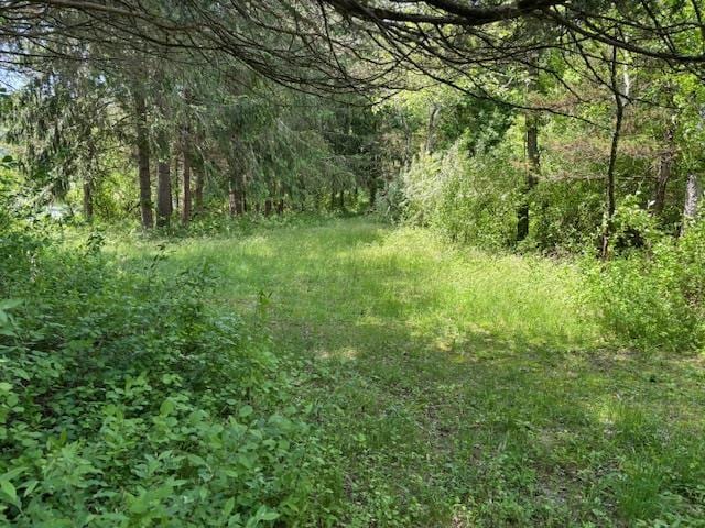 5-8 Lakeside Ln, Pine Plains, NY 12567