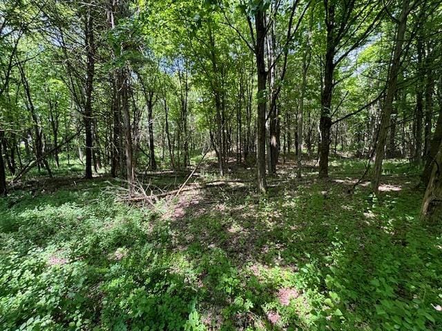 5-8 Lakeside Ln, Pine Plains, NY 12567