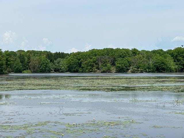 5-8 Lakeside Ln, Pine Plains, NY 12567