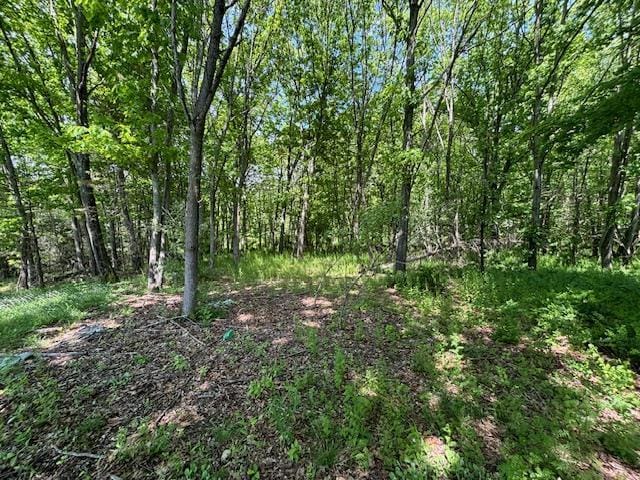 5-8 Lakeside Ln, Pine Plains, NY 12567