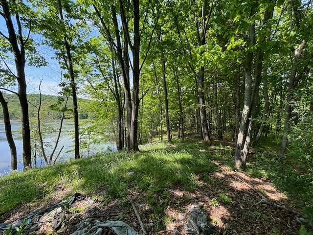 5-8 Lakeside Ln, Pine Plains, NY 12567