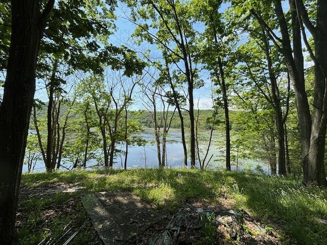5-8 Lakeside Ln, Pine Plains, NY 12567