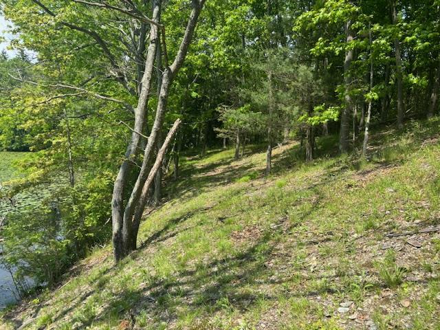 5-8 Lakeside Ln, Pine Plains, NY 12567