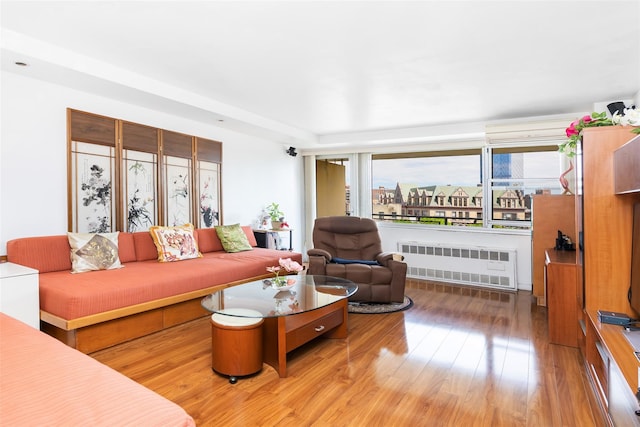 215 Park Row Unit 8B, New York Manhattan, NY 10038 - living room with radiator and wood finished floors