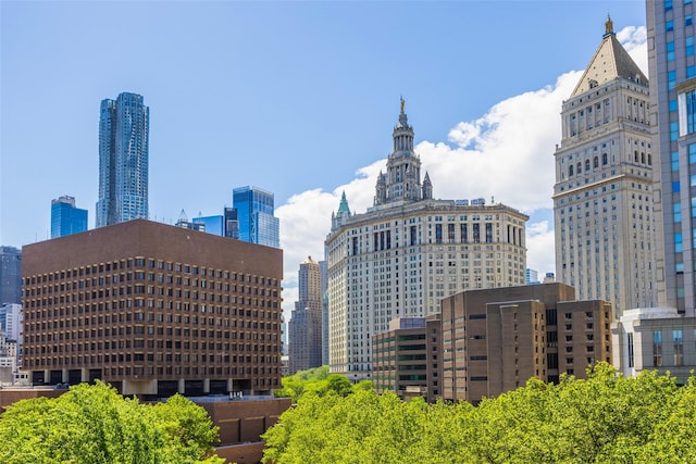 215 Park Row Unit 8B, New York Manhattan, NY 10038 - skyline view