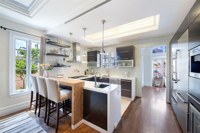 158-44 87th St, Howard Beach, NY 11414 - kitchen with wall chimney exhaust hood, a sink, open shelves, modern cabinets, and crown molding