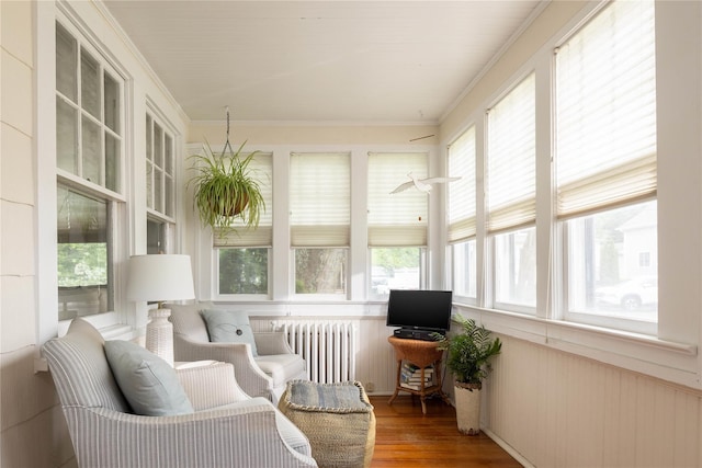 43 W 4th St, Locust Valley, NY 11560 - sunroom with radiator, wood finished floors, and ornamental molding