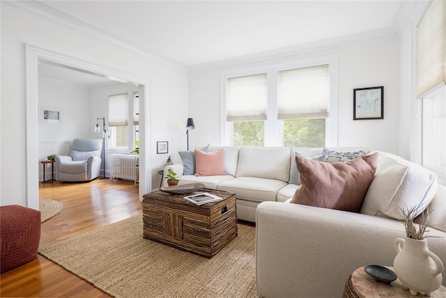 43 W 4th St, Locust Valley, NY 11560 - living area with radiator, ornamental molding, and light wood-style flooring