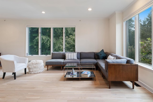 43 Random Farms Cir, Chappaqua, NY 10514 - living area with plenty of natural light, crown molding, wood finished floors, and recessed lighting