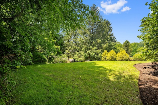 43 Random Farms Cir, Chappaqua, NY 10514 - view of grassy yard with a forest view