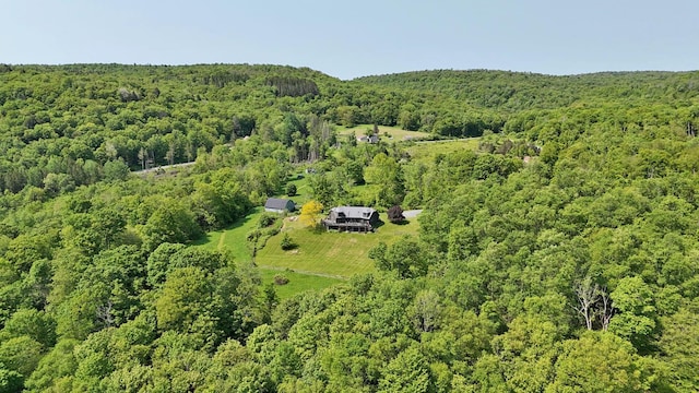605 Dutch Hill Rd, Call Listing Agent, NY 12776 - aerial view of property's location featuring a forest
