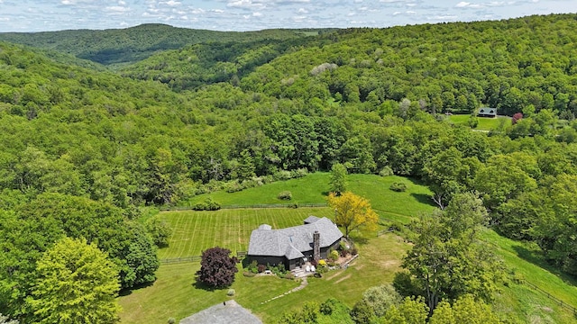 605 Dutch Hill Rd, Call Listing Agent, NY 12776 - view of subject property featuring a heavily wooded area
