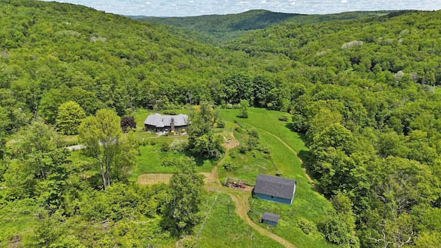605 Dutch Hill Rd, Call Listing Agent, NY 12776 - aerial view of property and surrounding area with a forest and a mountain backdrop