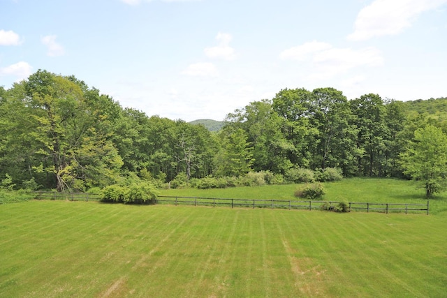 605 Dutch Hill Rd, Call Listing Agent, NY 12776 - view of yard with a view of countryside and a view of trees