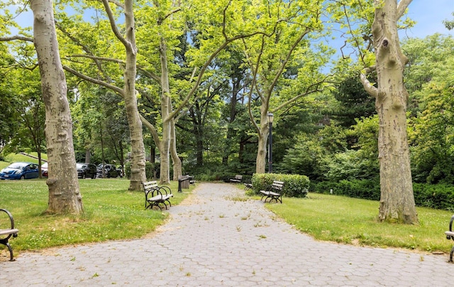 42-30 Douglaston Pkwy Unit 7H, Douglaston, NY 11363 - view of community featuring a lawn