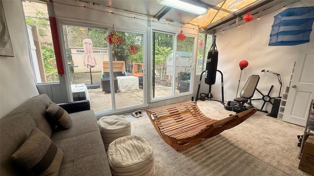 154-6 64th Ave, Flushing, NY 11367 - workout area with carpet floors