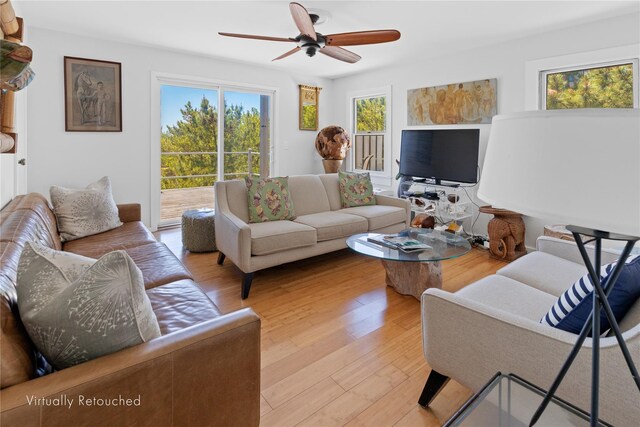 273 Lewis Walk, Cherry Grove, NY 11782 - photo 14