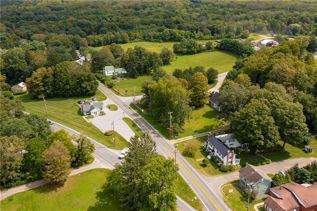 2-4 Hunns Lake Rd, Stanfordville, NY 12581 - bird's eye view of a forest