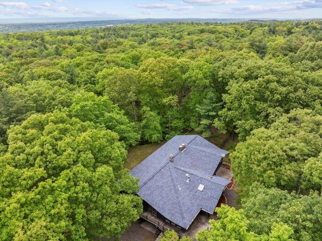 100 Schnackenberg Rd, Call Listing Agent, NY 12075 - view from above of property with a forest