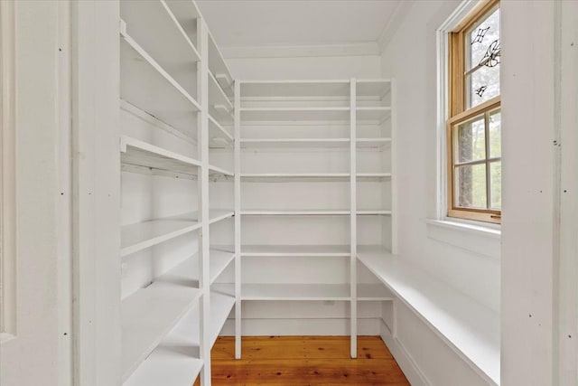 100 Schnackenberg Rd, Call Listing Agent, NY 12075 - view of pantry