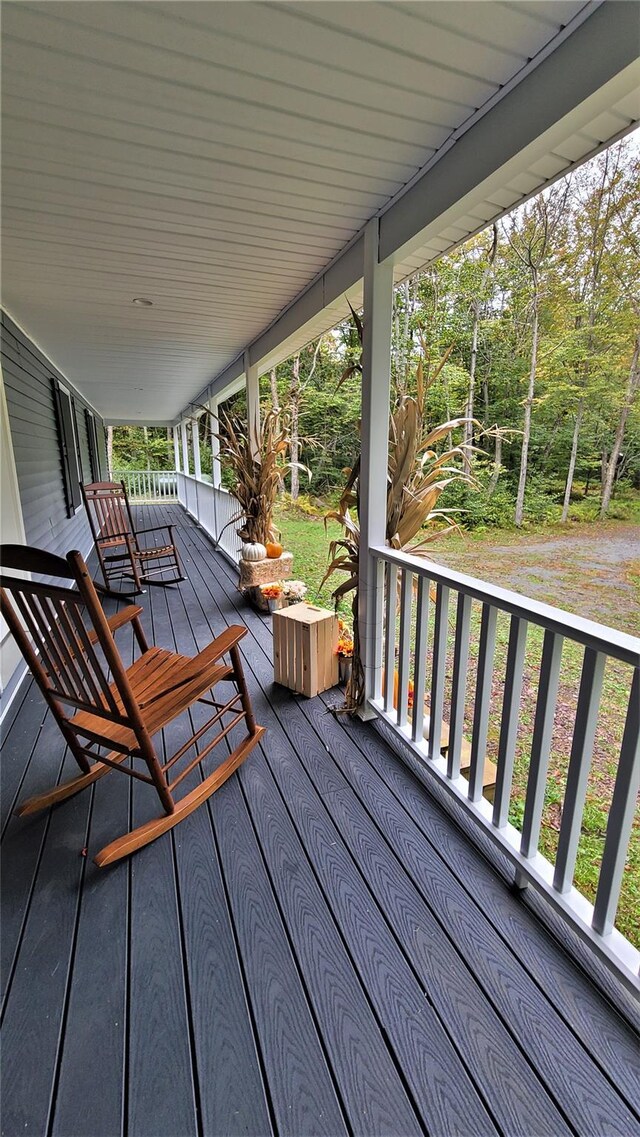 68 Schleiermacher Rd, Livingston Manor, NY 12758 - photo 27