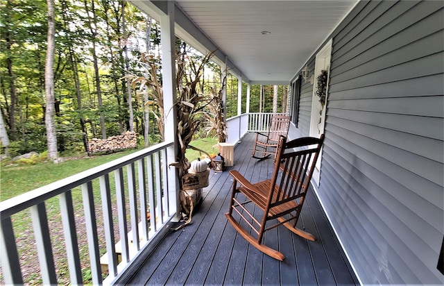 68 Schleiermacher Rd, Livingston Manor, NY 12758 - photo 28