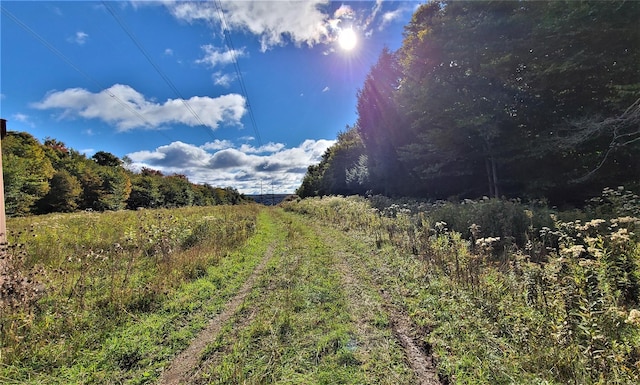 68 Schleiermacher Rd, Livingston Manor, NY 12758 - photo 29