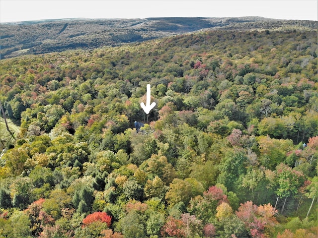 68 Schleiermacher Rd, Livingston Manor, NY 12758 - photo 30