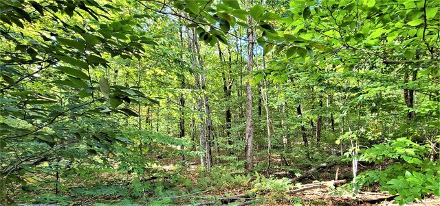 68 Schleiermacher Rd, Livingston Manor, NY 12758 - photo 32
