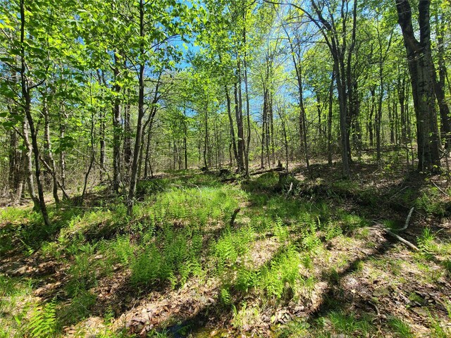 68 Schleiermacher Rd, Livingston Manor, NY 12758 - photo 33