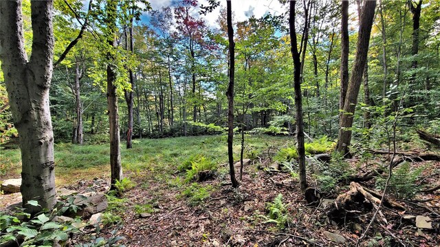 68 Schleiermacher Rd, Livingston Manor, NY 12758 - photo 34