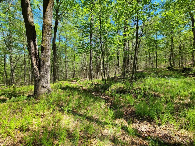 68 Schleiermacher Rd, Livingston Manor, NY 12758 - photo 35