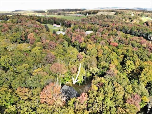 68 Schleiermacher Rd, Livingston Manor, NY 12758 - photo 37