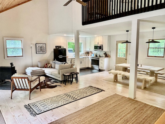 247 Maccabee Rd, Roscoe, NY 12776 - living area with hardwood / wood-style flooring, high vaulted ceiling, ceiling fan, and a wood stove