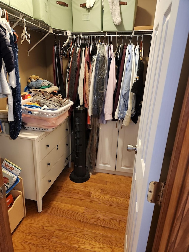 182 Ledge Rd, Kingston, NY 12401 - spacious closet with light wood finished floors