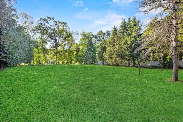 1345 Rte 82, Hopewell Junction, NY 12533 - view of green lawn