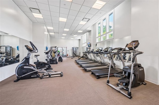 90 Bay Street Lndg Unit 6L, Staten Island, NY 10301 - workout area with carpet floors, a high ceiling, and a drop ceiling