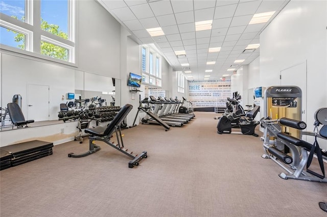 90 Bay Street Lndg Unit 6L, Staten Island, NY 10301 - exercise room with a high ceiling, a paneled ceiling, and carpet