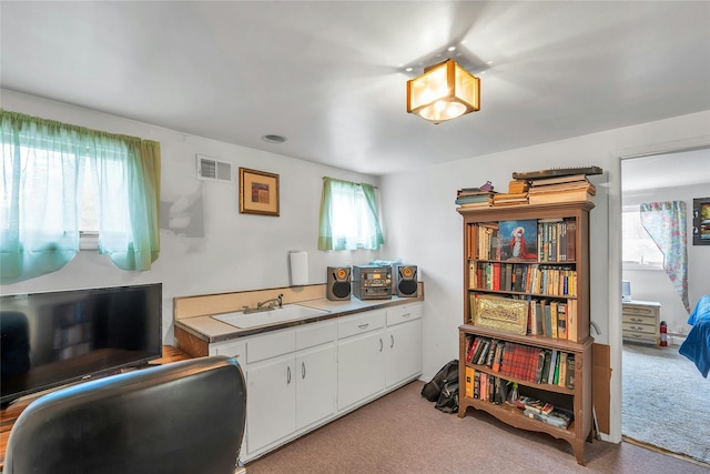 105 Browns Rd, Nesconset, NY 11767 - office featuring light carpet, healthy amount of natural light, and a sink