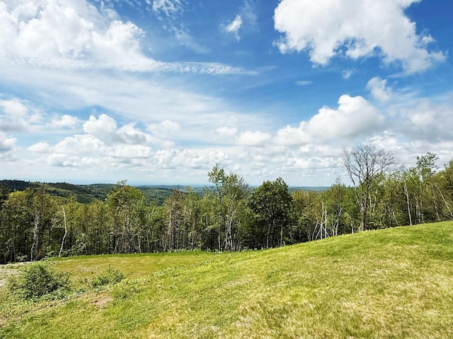 25 Ridge Rd, East Chatham, NY 12060 - view of wooded area