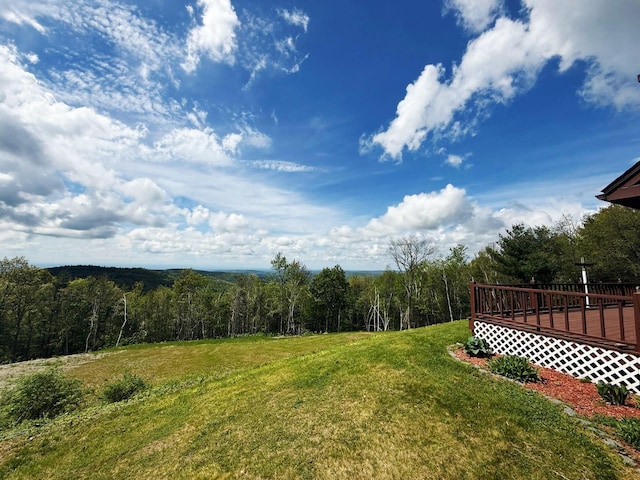 25 Ridge Rd, East Chatham, NY 12060 - view of green lawn featuring a deck and a forest view